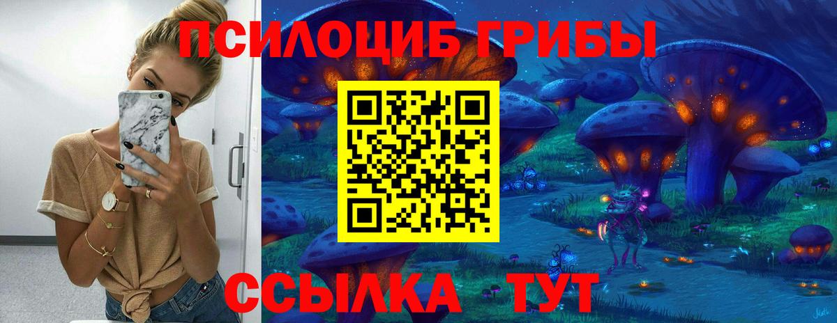 Галлюциногенные грибы мухоморы  Вход с VPN  где купить наркотик  Подольск 