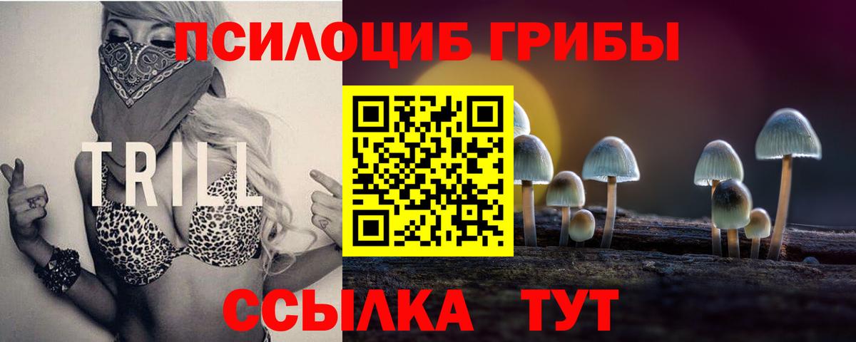 Галлюциногенные грибы Psilocybe Подольск